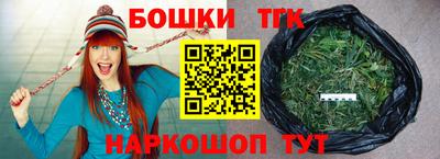 индика Ставрополь
