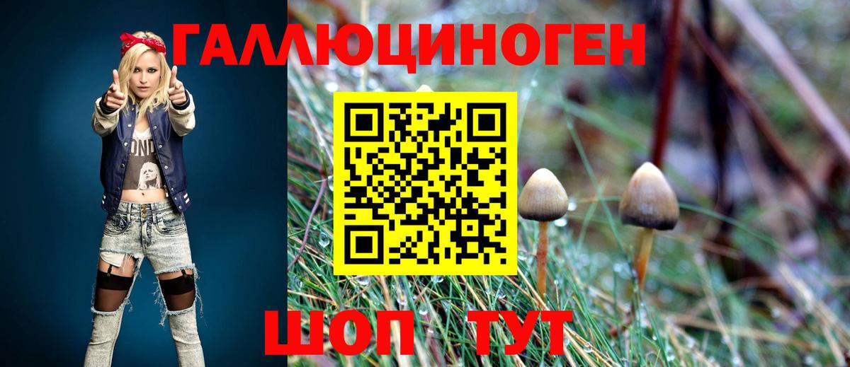 Псилоцибиновые грибы прущие грибы Подольск